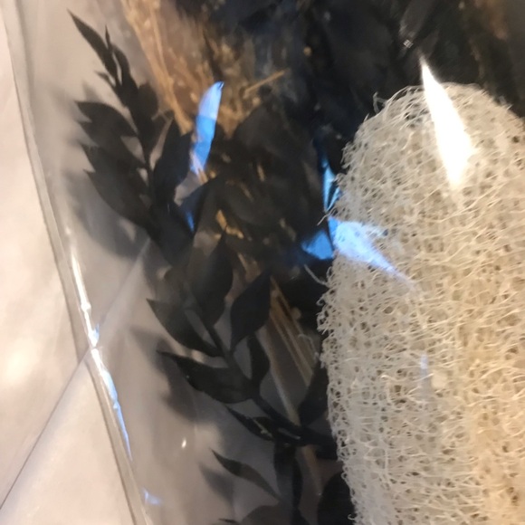 Dried Florals Black Faux Floral Arrangement in Black & Beige NEW FINAL SALE - Picture 3 of 3